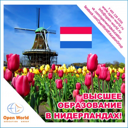 Приглашаем школьников и студентов на «Круглый стол по образованию в Нидерландах»!