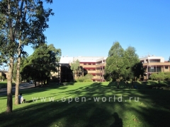 University of Wollongong (19)