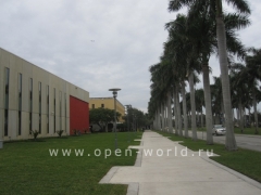 Florida International University, Miami (4)