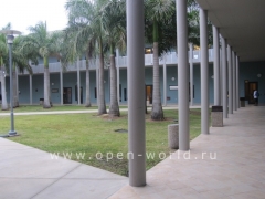 Florida International University, Miami (9)