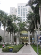 Florida International University, Miami (19)