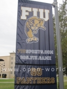 Florida International University, Miami (35)