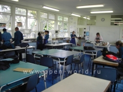 Glendowie College, Auckland (22)