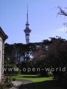 Language International, Auckland (25)