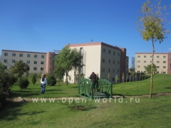 Okan University