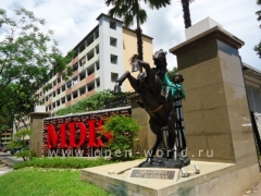 Management Development Institute of Singapore (MDIS)