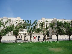 American University in Dubai (AUD)