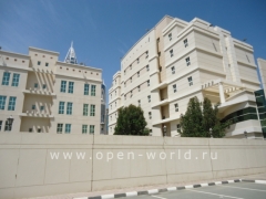 American University in Dubai (AUD)