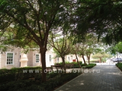 American University in Dubai (AUD)